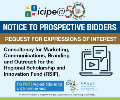 Consultancy for Marketing, Communications, Branding and Outreach for the Regional Scholarship and Innovation Fund (RSIF)