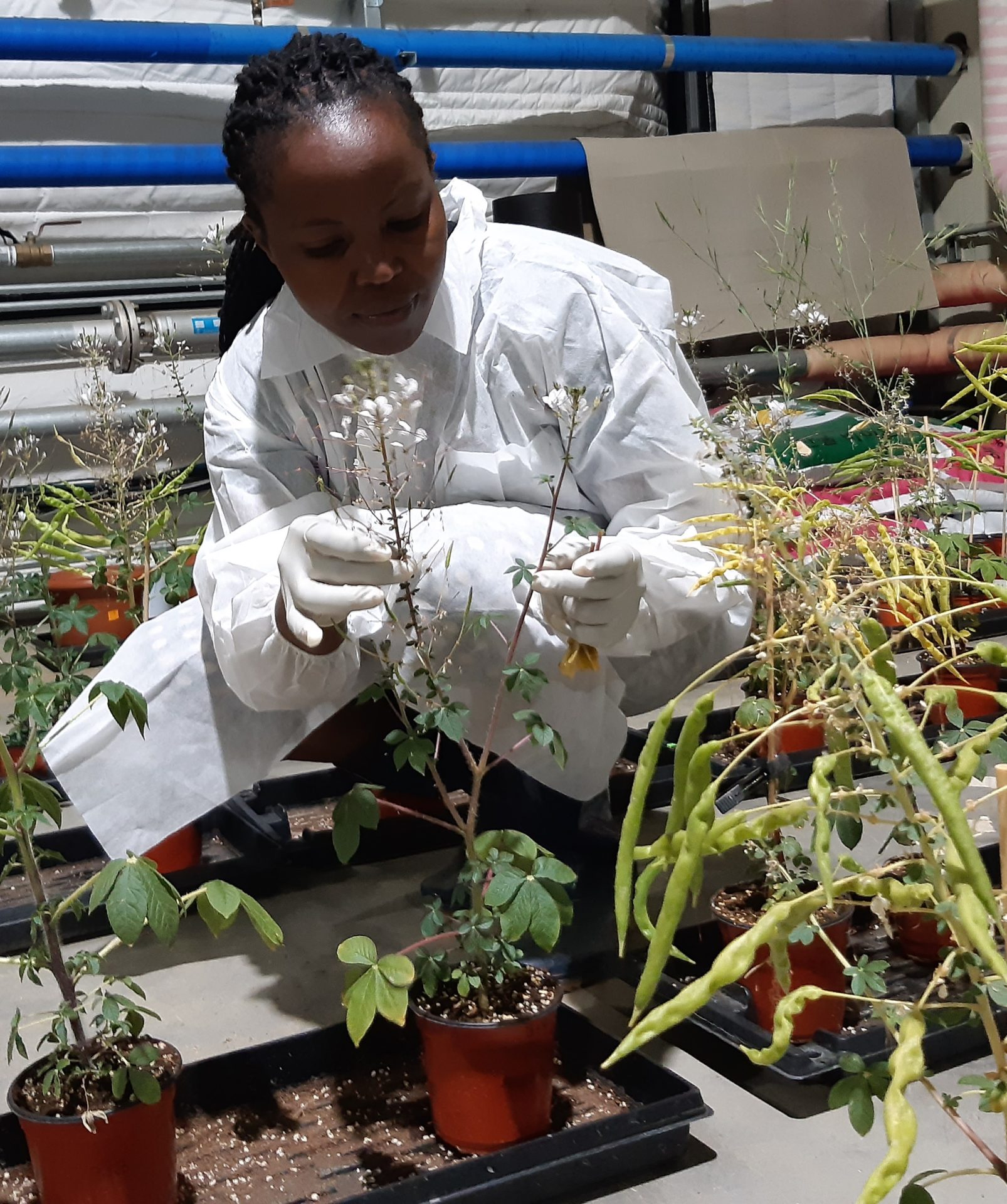 Life, study and research at the Korea Institute of Science and Technology (KIST): RSIF PhD scholar Sylvia Wairimu Maina’s story