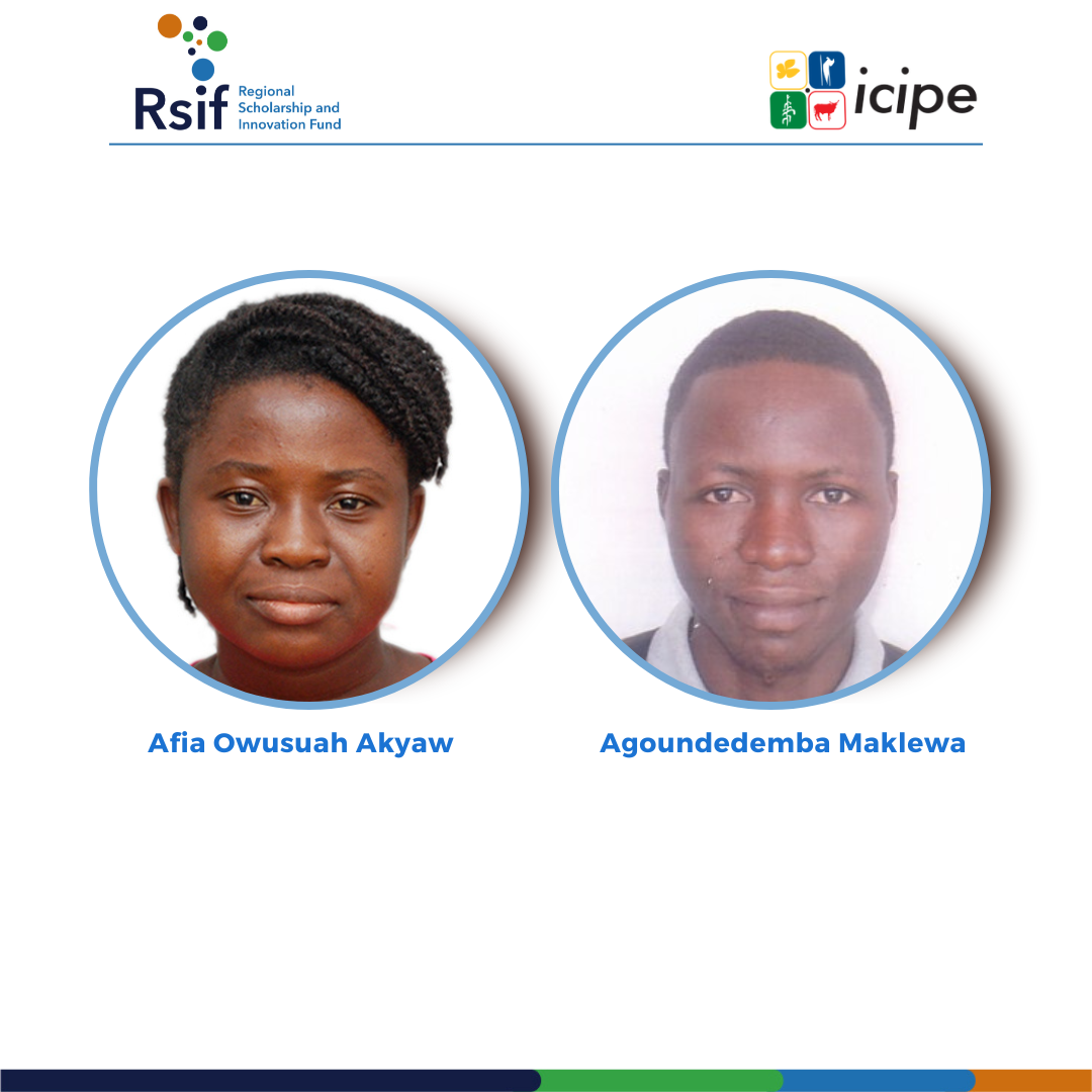 Two Rsif scholars at Kenyatta University share their Rsif PhD experience.