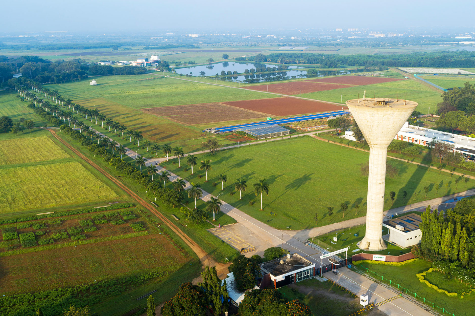 Rsif partners with the International Crops Research Institute for the Semi-Arid Tropics (ICRISAT)