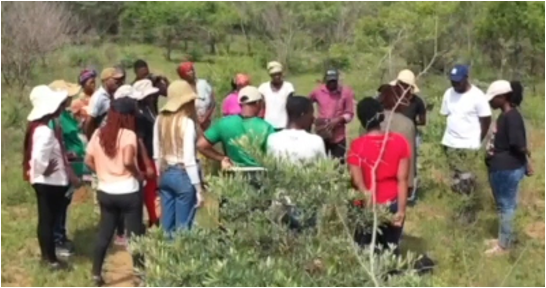 Training participants (the specialist, DCB staff, and students): pratical part of the project at Licuati Forest, Mozambique