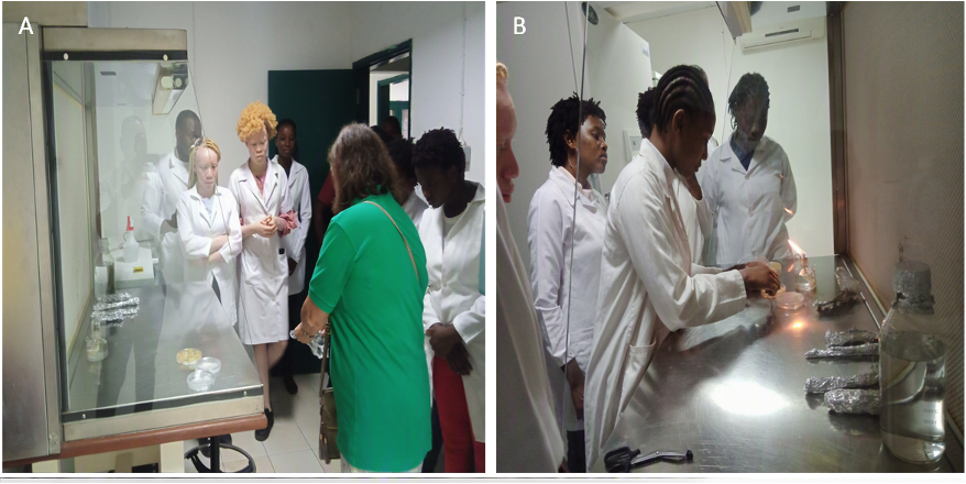 Training students of Eduardo Mondlane University on invitro plant production techniques.